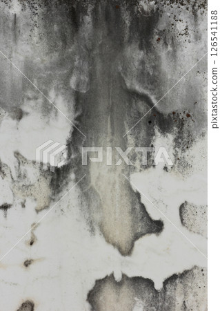 Close up of Historic Headstone in Rural East TX Cemetery Close up of Historic Headstone in Rural East TX Cemetery 126541188