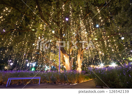 The best time to see the tree is in autumn when it has leaves (^^)/ ~ Ashikaga Flower Park / Tree of Life ~ 126542139