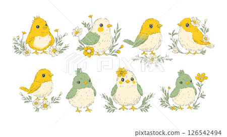 Easter Chick Bird Sketch Set Pastel Floral Chicken Spring Flower Holiday Rustic Folk Art Isolated Vector 126542494