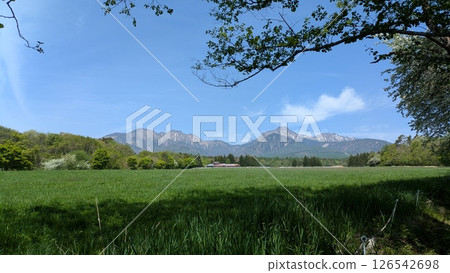 Yatsugatake seen from the grasslands in early summer 126542698