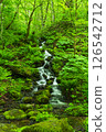 奧入瀨溪谷的新綠與泉水 126542712
