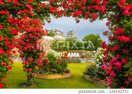A beautiful castle covered in roses 126542751