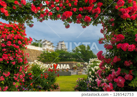 一座被玫瑰覆蓋的美麗城堡 126542753