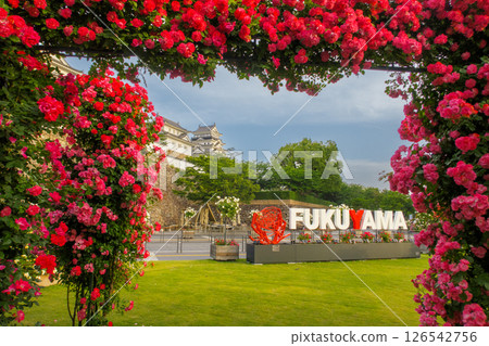 用鮮花的風景 126542756