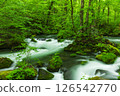 奧入瀨溪流的阿修羅水流與新綠 126542770