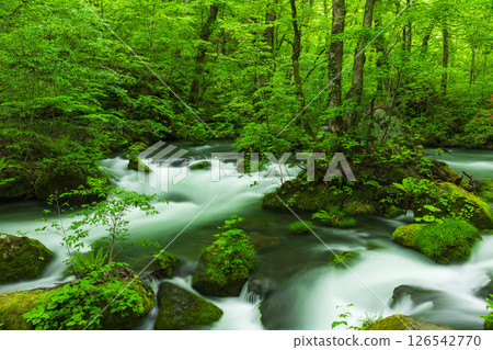 奧入瀨溪流的阿修羅水流與新綠 126542770