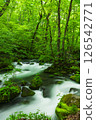 奧入瀨溪流的阿修羅水流與新綠 126542771