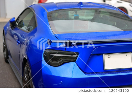 Car tail lights 126543100