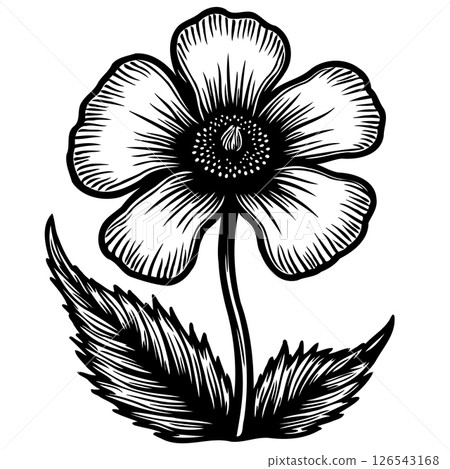 Intricate botanical illustration of a wildflower with meticulous linework and detail Intricate botanical illustration of a wildflower with meticulous linework and detail 126543168