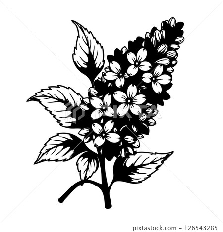 Monochrome botanical illustration featuring a lush floral sprig design Monochrome botanical illustration featuring a lush floral sprig design 126543285