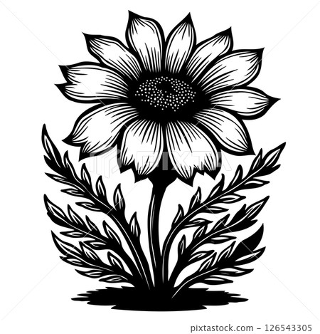 Elegant botanical monochrome drawing featuring a stylized flower and foliage 126543305