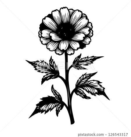 Elegant floral illustration showcasing intricate petals and stylized foliage design Elegant floral illustration showcasing intricate petals and stylized foliage design 126543317