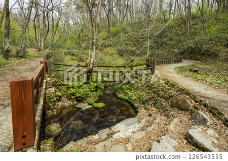 岡山縣真庭市蒜山鹽釜冷泉 126543555