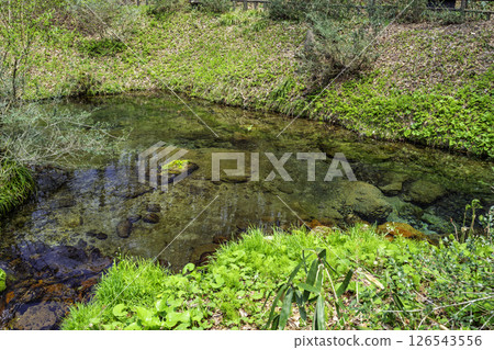 Hiruzen Shiogama Cold Spring, Maniwa City, Okayama Prefecture 126543556