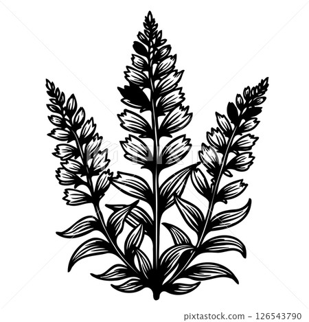 Elegant botanical illustration: Detailed black and white floral design graphic 126543790