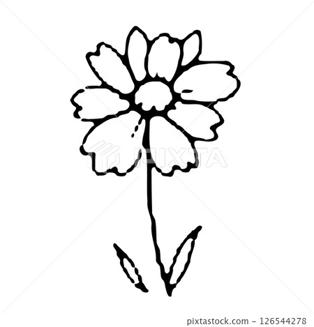 Delicate floral illustration with outlined petals and minimalist stem design 126544278