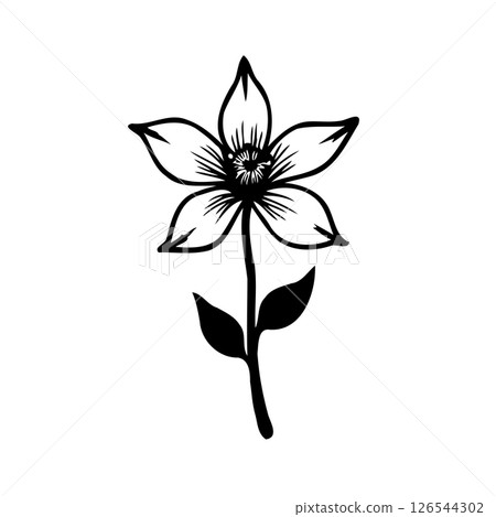 Delicate botanical illustration of a blooming flower with intricate details 126544302