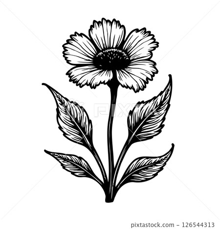 Monochrome floral illustration with delicate petals and foliage on a white surface 126544313