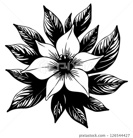 Monochrome floral illustration showcases graphic simplicity and elegant botanic form Monochrome floral illustration showcases graphic simplicity and elegant botanic form 126544427