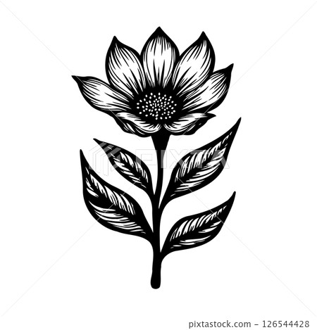 Elegant botanical illustration featuring a blooming flower with detailed petals Elegant botanical illustration featuring a blooming flower with detailed petals 126544428