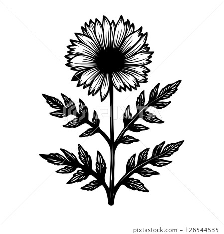 Intricate monochrome botanical illustration of a stylized, blossoming flower 126544535