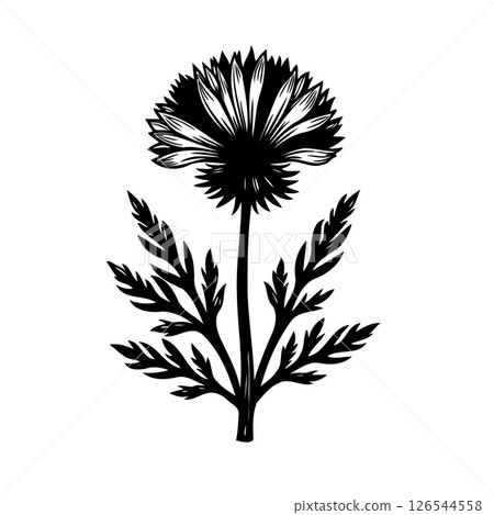 Elegant floral silhouette illustration depicting a single bloom and foliage Elegant floral silhouette illustration depicting a single bloom and foliage 126544558