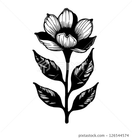 Botanical elegance: a monochrome floral illustration with delicate leaf patterns 126544574