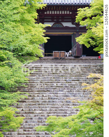 京都高雄神護寺的微風吹拂下的綠色景象 126544626