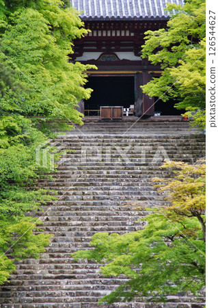 京都高雄神護寺的微風吹拂下的綠色景象 126544627