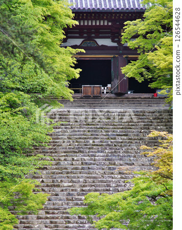 京都高雄神護寺的微風吹拂下的綠色景象 126544628