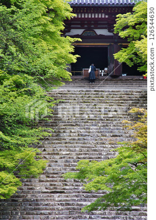 A breezy green scene at Jingoji Temple in Takao, Kyoto 126544630