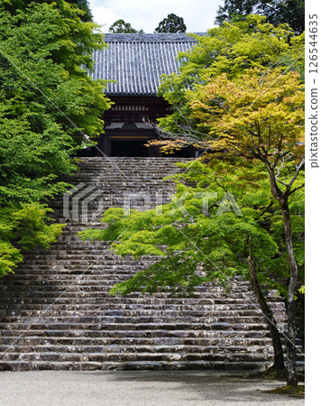 京都高雄神護寺的微風吹拂下的綠色景象 京都高雄神護寺的微風吹拂下的綠色景象 126544635