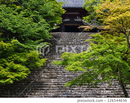 A breezy green scene at Jingoji Temple in Takao, Kyoto A breezy green scene at Jingoji Temple in Takao, Kyoto 126544636