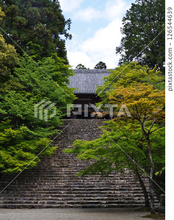 京都高雄神護寺的微風吹拂下的綠色景象 126544639