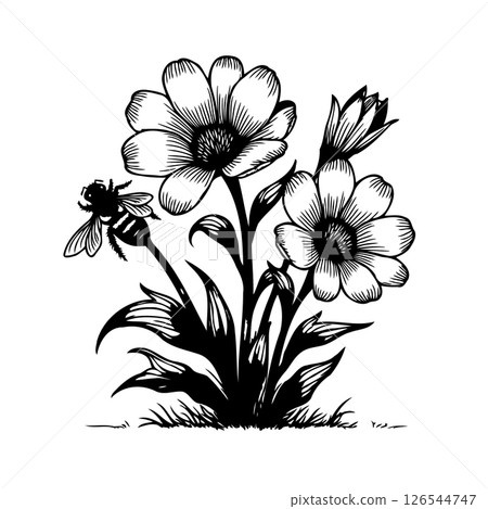 Detailed floral illustration with a bee in a monochromatic botanical artwork Detailed floral illustration with a bee in a monochromatic botanical artwork 126544747
