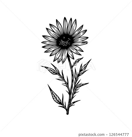 Elegant monochrome illustration capturing the graceful form of a flower Elegant monochrome illustration capturing the graceful form of a flower 126544777