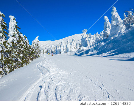 從冰霜山的直線路線回望山頂的景色(山形縣藏王溫泉滑雪場冰霜山路線) 從冰霜山的直線路線回望山頂的景色(山形縣藏王溫泉滑雪場冰霜山路線) 126544823