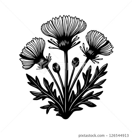 Elegant monochrome thistle bloom design, a stylized botanical illustration 126544913