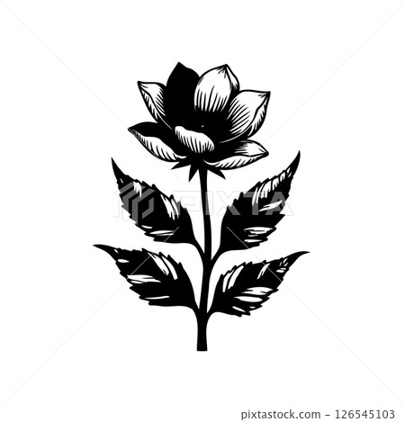 Monochrome floral illustration with detailed shading and textured leaves design 126545103