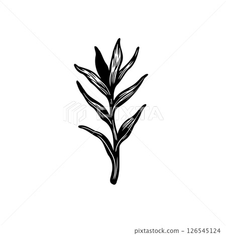 Elegant botanical illustration, minimalist monochrome leaves design in graceful arrangement Elegant botanical illustration, minimalist monochrome leaves design in graceful arrangement 126545124