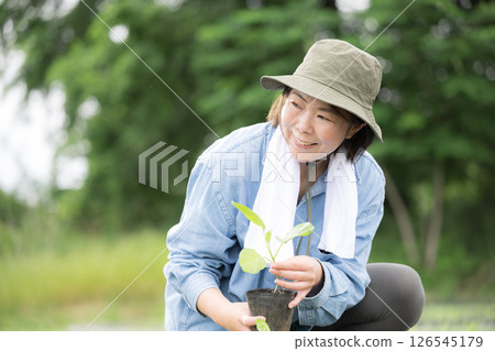 A woman planting eggplant seedlings in a field. Image of a farmer or agricultural worker. A woman planting eggplant seedlings in a field. Image of a farmer or agricultural worker. 126545179