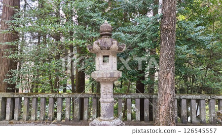 Stone lantern Stone lantern 126545557