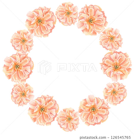 Peony flower head in soft peach tones watercolor round frame. Hand-painted wreath perfect for wedding invitations, feminine branding, packaging, fabric design, stationary and cards. Coral charm color Peony flower head in soft peach tones watercolor round frame. Hand-painted wreath perfect for wedding invitations, feminine branding, packaging, fabric design, stationary and cards. Coral charm color 126545765