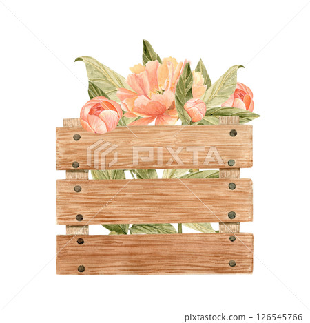 Blooming coral charm peonies in a wooden crate, watercolor composition, perfect for packaging, stationary, labels, cards, branding, stickers, invitations farm market decor. Pastel color. Shabby chic Blooming coral charm peonies in a wooden crate, watercolor composition, perfect for packaging, stationary, labels, cards, branding, stickers, invitations farm market decor. Pastel color. Shabby chic 126545766