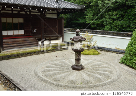 初夏的雲龍院：靈明殿前的石燈籠（京都市東山區） 126545773