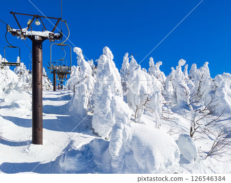 從纜車上眺望冰霜森林(山形縣藏王溫泉滑雪場) 從纜車上眺望冰霜森林(山形縣藏王溫泉滑雪場) 126546384
