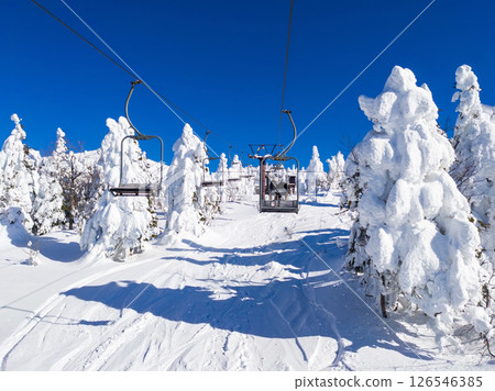 從纜車上眺望冰霜森林(山形縣藏王溫泉滑雪場) 從纜車上眺望冰霜森林(山形縣藏王溫泉滑雪場) 126546385