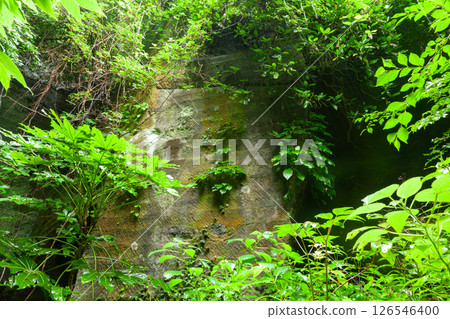 Izu Peninsula Iwamuro Cave (the remains of a quarry where Izu stone was cut) in Matsuzaki Town, Shizuoka Prefecture Izu Peninsula Iwamuro Cave (the remains of a quarry where Izu stone was cut) in Matsuzaki Town, Shizuoka Prefecture 126546400