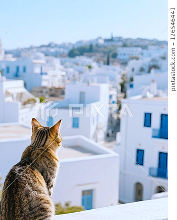Greek street and cat 126546441