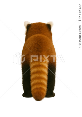 小熊貓的背面 126546582